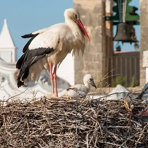 Stork Hostel